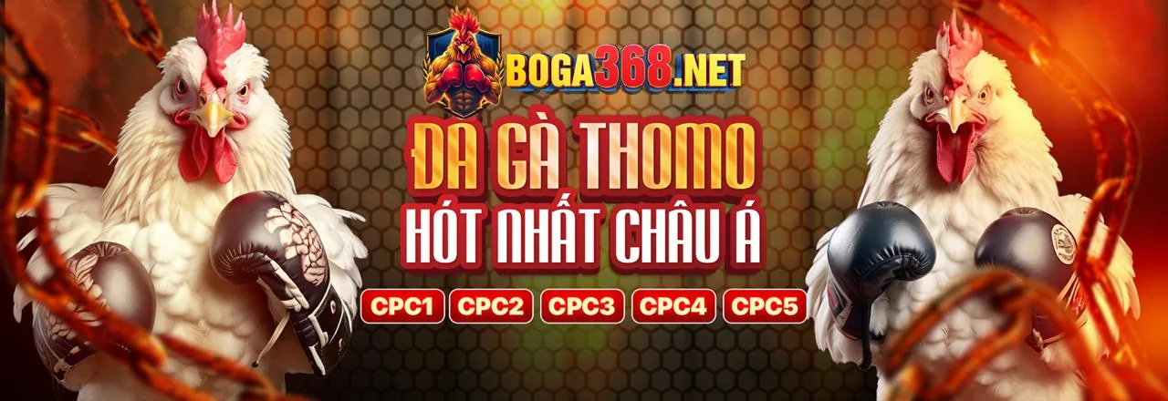 Sòng bạc trực tuyến AE888 Bet với bàn Baccarat và Roulette